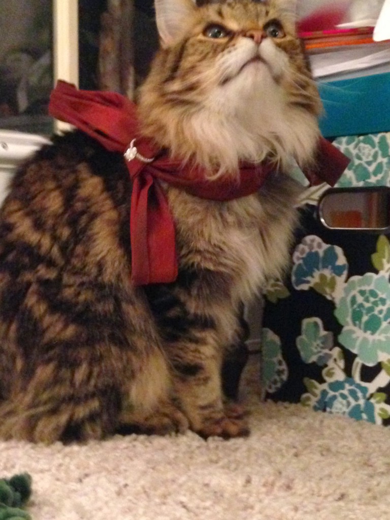 Cat and Oval Diamond Engagement Ring